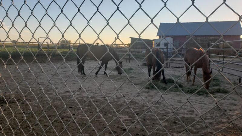 Hazelton City Park - Hazelton, ID
