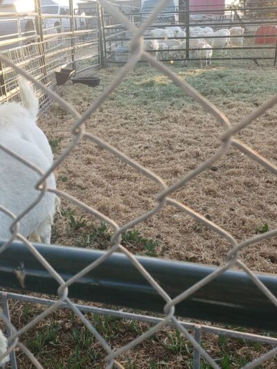 Hazelton City Park - Hazelton, ID