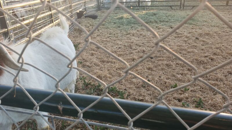 Hazelton City Park - Hazelton, ID