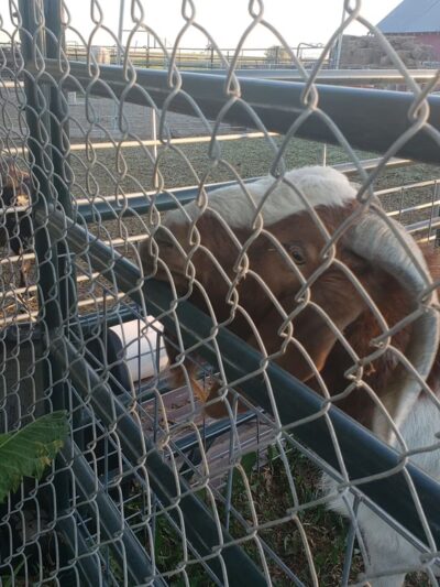 Hazelton City Park - Hazelton, ID