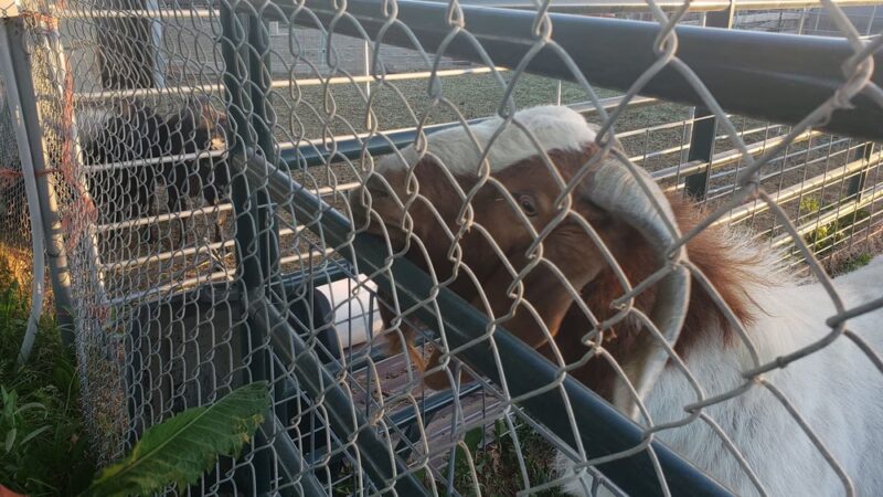 Hazelton City Park - Hazelton, ID