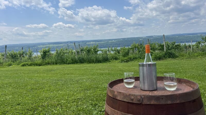 Leidenfrost Vineyards - Hector, NY