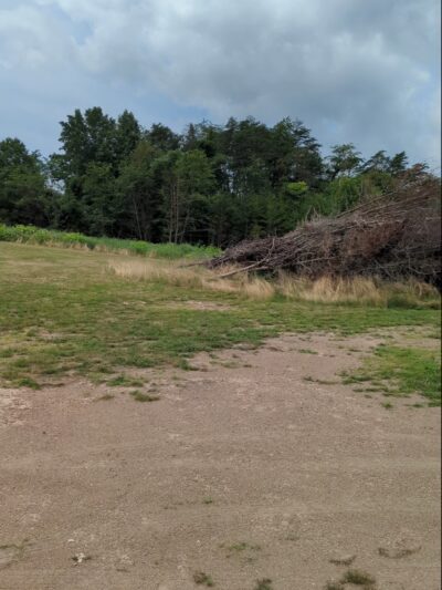 Rooney Park - Hedgesville, WV