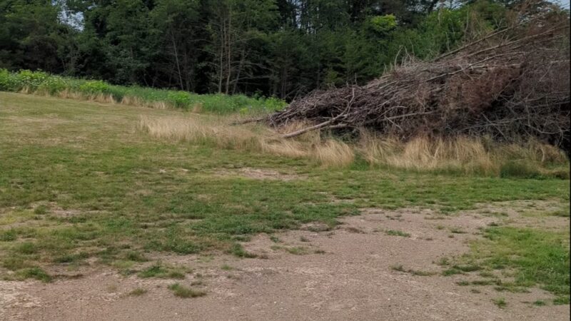 Rooney Park - Hedgesville, WV