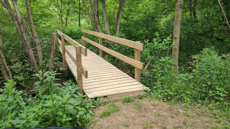 Stauffer's Marsh Nature Preserve - Hedgesville, WV