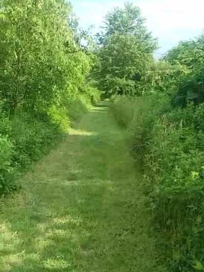 Stauffer's Marsh Nature Preserve - Hedgesville, WV
