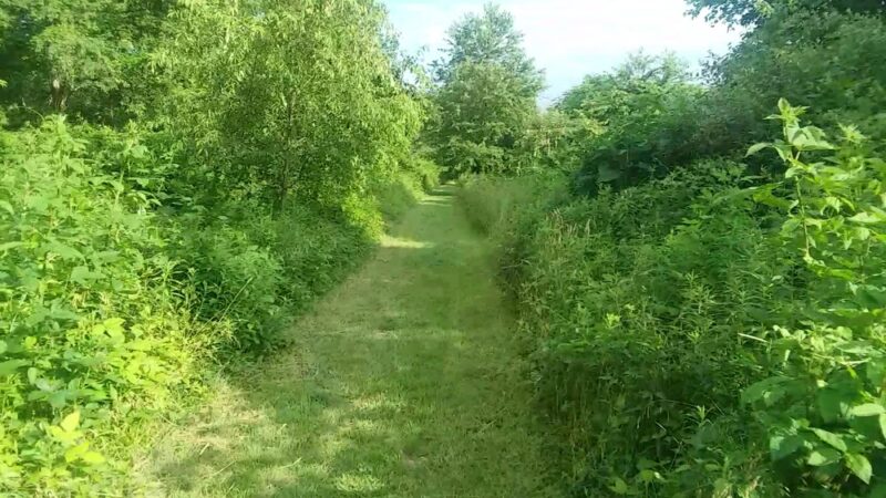 Stauffer's Marsh Nature Preserve - Hedgesville, WV