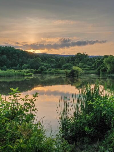 Stauffer's Marsh Nature Preserve - Hedgesville, WV