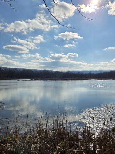 Stauffer's Marsh Nature Preserve - Hedgesville, WV