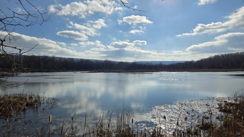 Stauffer's Marsh Nature Preserve - Hedgesville, WV
