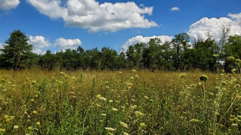Stauffer's Marsh Nature Preserve - Hedgesville, WV