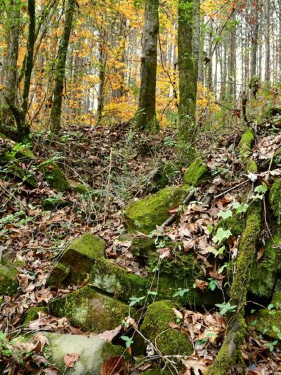 Lee Springs Park - Helena, AL