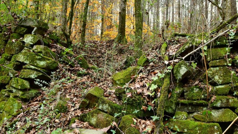 Lee Springs Park - Helena, AL