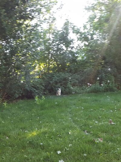 Helmville - Helmville, MT