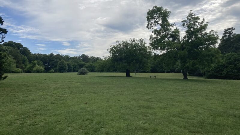 Bandy Field Nature Park - Henrico, VA