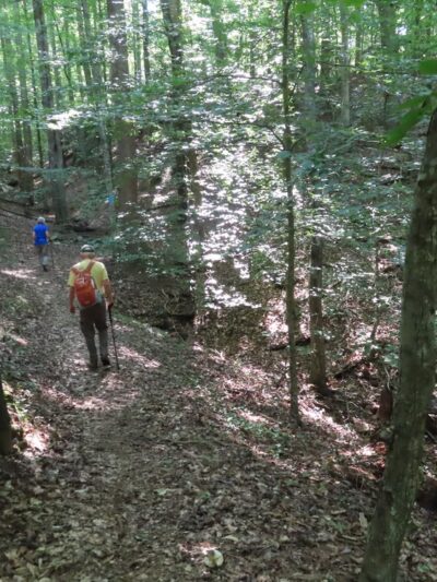Laurel Ridge Trail - Henry, VA
