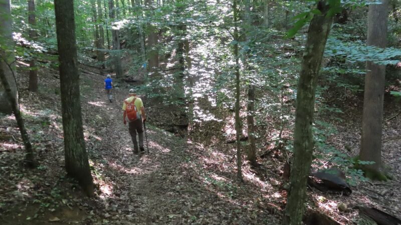 Laurel Ridge Trail - Henry, VA