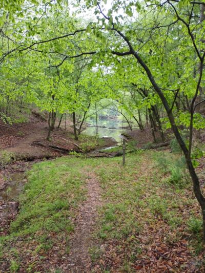 Laurel Ridge Trail - Henry, VA
