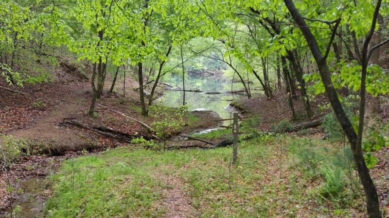 Laurel Ridge Trail - Henry, VA