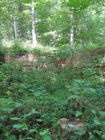 Laurel Ridge Trail - Henry, VA