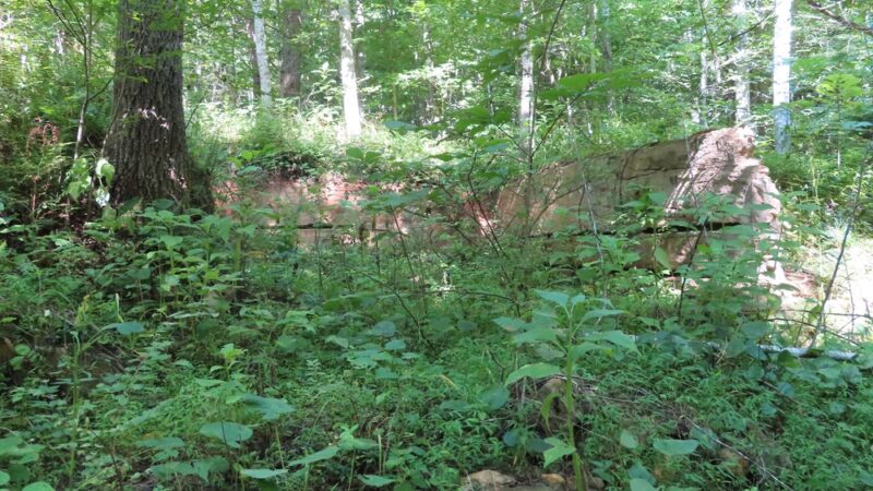 Laurel Ridge Trail - Henry, VA