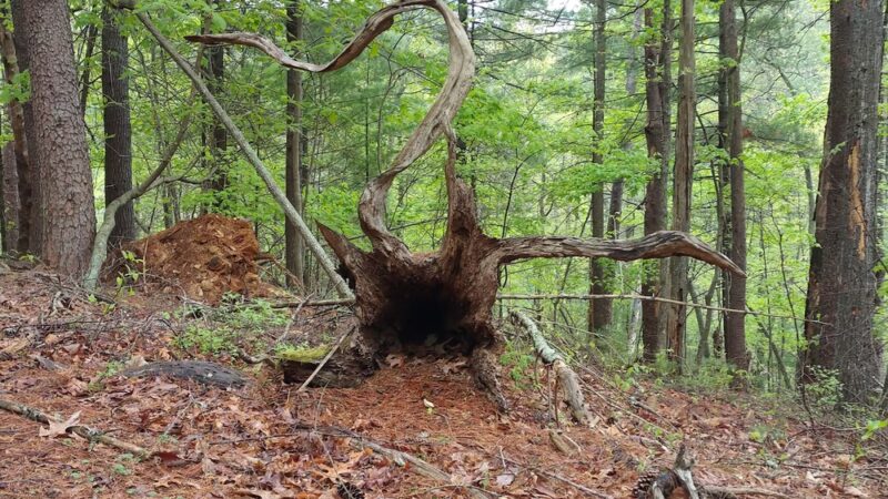 Laurel Ridge Trail - Henry, VA
