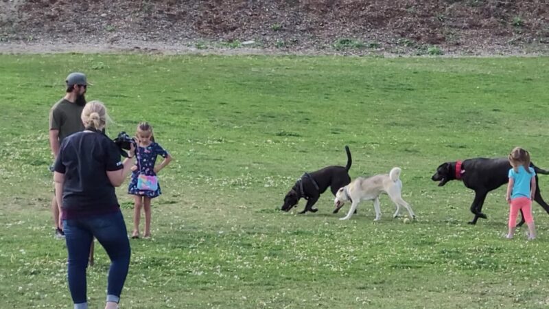 Hermiston Bark Park - Hermiston, OR