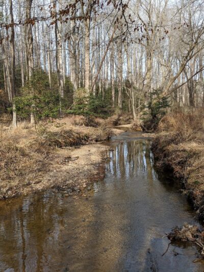 Little Difficult Run Stream Valley Park - Herndon, VA