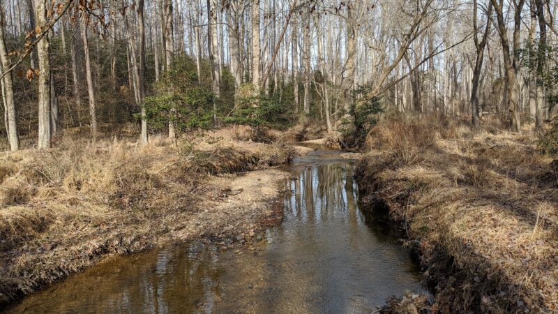 Little Difficult Run Stream Valley Park - Herndon, VA