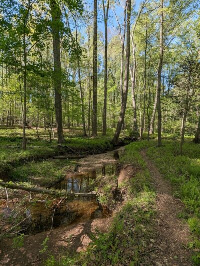 Little Difficult Run Stream Valley Park - Herndon, VA