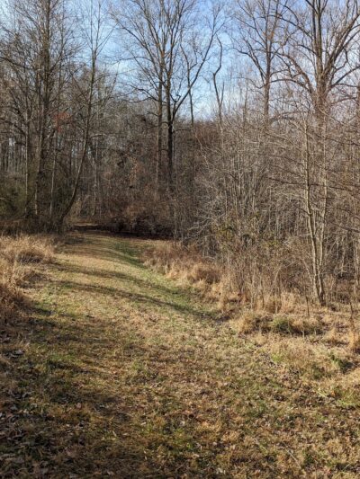Little Difficult Run Stream Valley Park - Herndon, VA