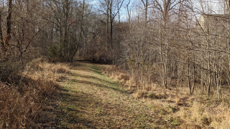 Little Difficult Run Stream Valley Park - Herndon, VA
