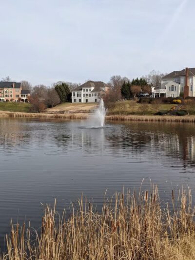 Little Difficult Run Stream Valley Park - Herndon, VA