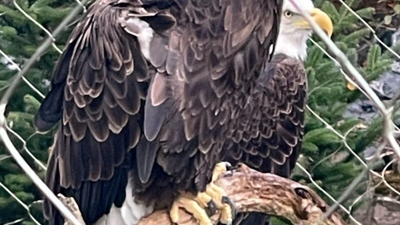 ZooAmerica - Hershey, PA
