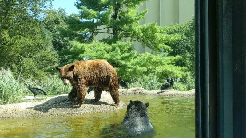 ZooAmerica - Hershey, PA