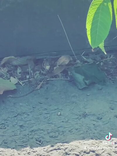 Central Park - Heyburn, ID