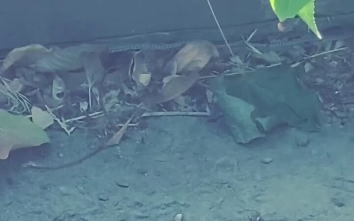 Central Park - Heyburn, ID