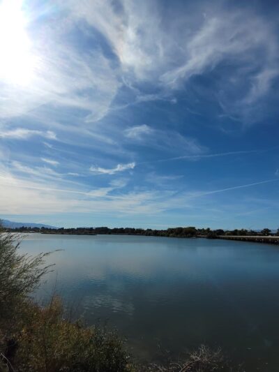 Heyburn Arboretum - Heyburn, ID