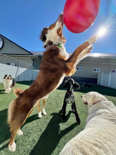 Cedar Run Company #1 - Hiawatha, IA