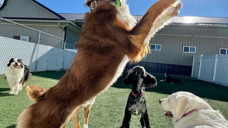 Cedar Run Company #1 - Hiawatha, IA