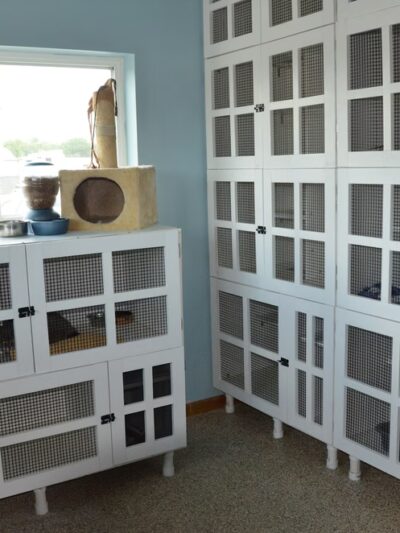 Cedar Run Company #1 - Hiawatha, IA