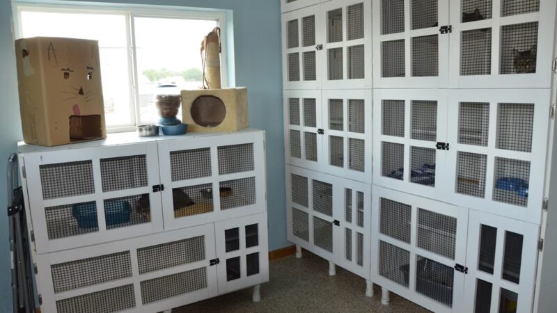 Cedar Run Company #1 - Hiawatha, IA