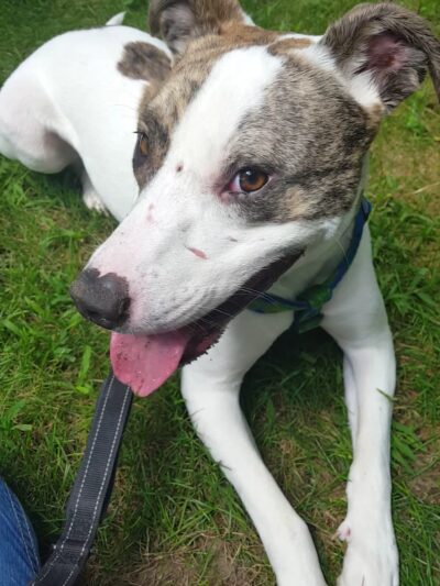 Tucker Park - Hiawatha, IA