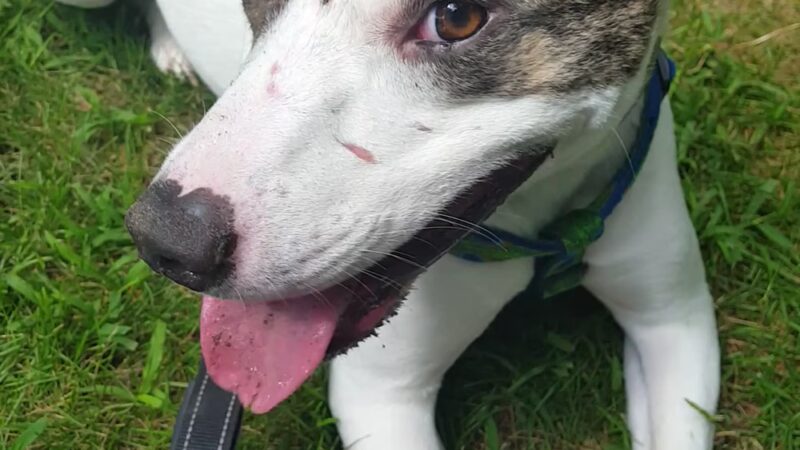 Tucker Park - Hiawatha, IA