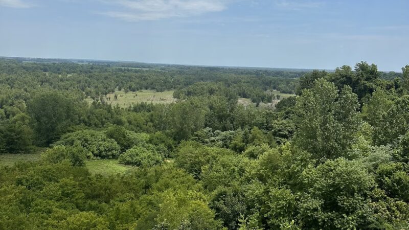 City park - Hickman, KY