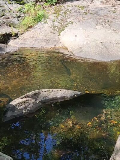 Seven Falls Park - Higganum, CT