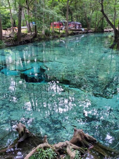 Dogwood Spring - High Springs, FL