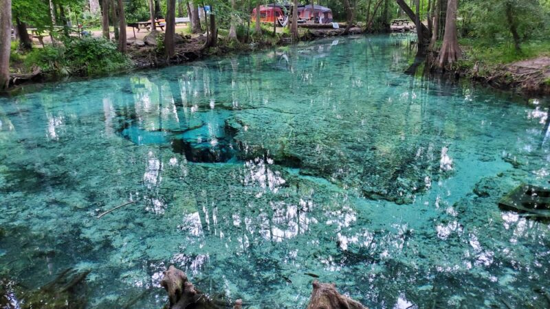 Dogwood Spring - High Springs, FL