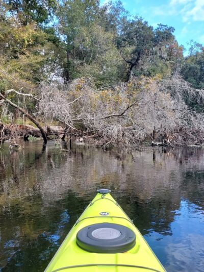 Dogwood Spring - High Springs, FL