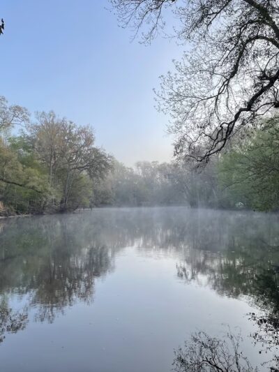Dogwood Spring - High Springs, FL
